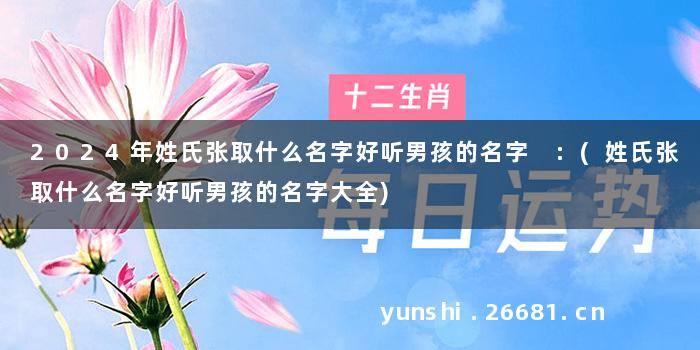 2024年姓氏张取什么名字好听男孩的名字 :(姓氏张取什么名字好听男孩的名字大全)